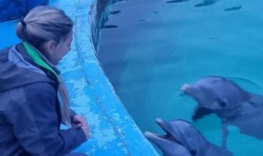 Grave denuncia por abandono de fauna marina en el ex Aquarium de Mar del Plata