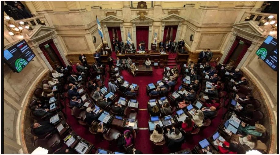 El Senado dio media sanción al proyecto que limita el uso de los DNU