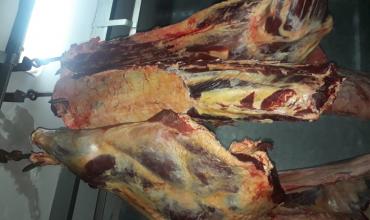 Decomisaron carne que era trasladada en un automóvil