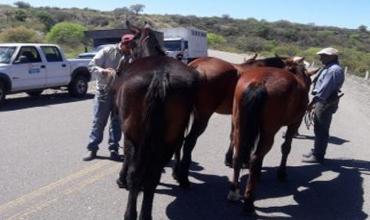 El secretario de ganadería de la provincia se reunió con productores del Cebollar