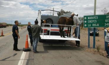 Advierten que el ingreso a La Rioja es más difícil y que este sábado no entraron extranjeros 