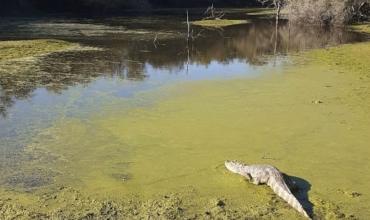 Video: El emocionante momento cuando fueron liberados los animales que estaban en el zoológico de La Rioja