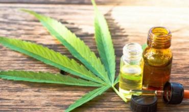 “La Rioja va a ser provincia pionera en cultivo de cannabis medicinal a cielo abierto”