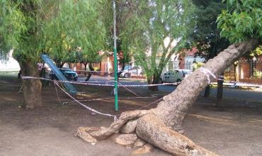 Tragedia en Córdoba: Murió electrocutado un adolescente tras tocar un poste