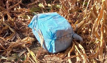 Casi dos millones de dólares en cocaína aparecen de la nada en un campo en el límite entre Santa Fe y Buenos Aires