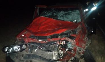 Vehículo impactó contra un animal sobre Ruta 79
