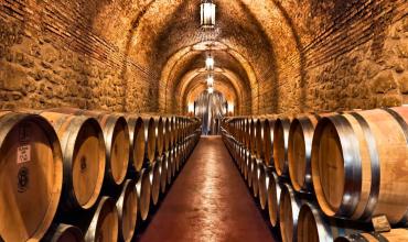 Bodegueros piden eliminar las retenciones: “Argentina es el quinto productor mundial de vino pero es el décimo exportador”