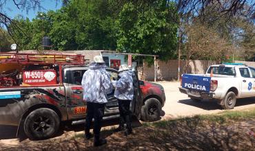La Rioja: Dos mujeres debieron ser trasladadas al hospital por un ataque de avispas