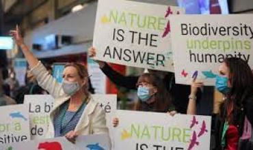 Ministros alcanzan un acuerdo en las negociaciones de la ONU sobre la Naturaleza