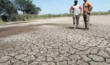 Alerta máxima: por la sequía ya se secaron 34.000 lagunas en Corrientes