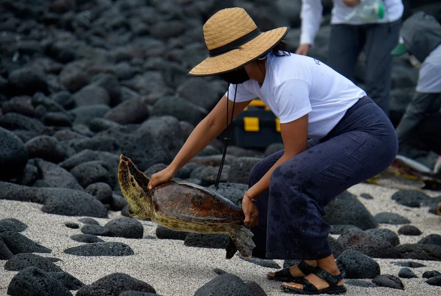 Inédito: Ecuador Logró El Canje De Deuda Por Conservación De La ...