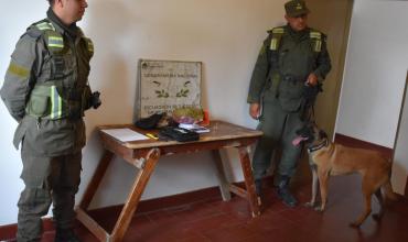 Gendarmería secuestró un kilo de marihuana de un micro que viajaba a Mendoza 