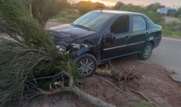 Milagro: Un conductor en estado de ebriedad chocó contra un árbol