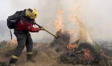 Lograron controlar el incendio en el Parque Nacional Los Alerces en Chubut
