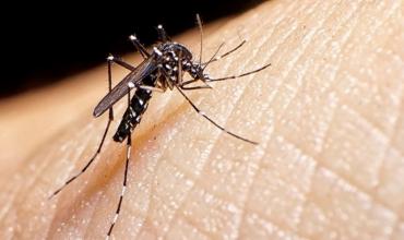 La Rioja: Se confirmó la primera persona fallecida por dengue