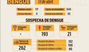 Se detectaron 137 nuevos casos de dengue, lo que acumula un total de 3410 