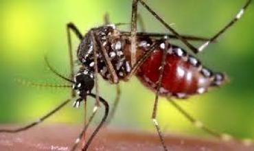 Se confirmaron dos nuevas muertes por dengue en Salta