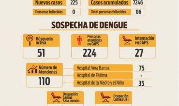Situación sanitaria por dengue: se reportaron 255 nuevos casos