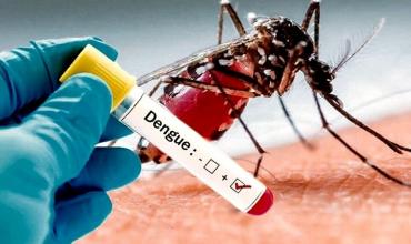 Dengue en Argentina: cuál es la provincia que en julio comienza la vacunación gratis