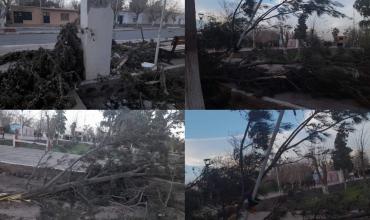 Guandacol: El viento zonda causó grandes estragos