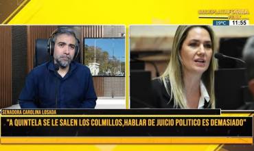  “Es un insulto a la democracia que se pida juicio político a un gobierno con pocos meses en el poder”