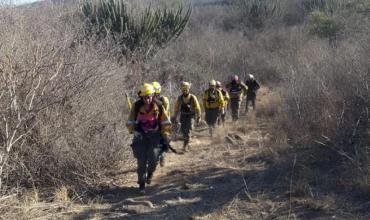 El COE informó sobre el incendio forestal en el cordón del Velasco