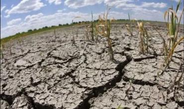 Un informe confirma que La Niña impactará fuertemente en Argentina con sequías y bajas precipitaciones