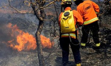 Los incendios en Brasil aumentaron un 76% este año