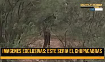 Ulapes: hombre denuncia aparición del "Chupacabras"