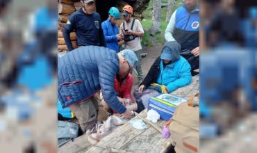 Río Negro: Rescatan a una mujer lesionada mientras practicaba trekking hacia el Refugio Frey