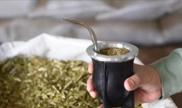 Histórica caída del consumo de la yerba mate: alcanzó su nivel más bajo desde 2016