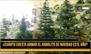 ¿Cuánto cuesta armar el arbolito de navidad?