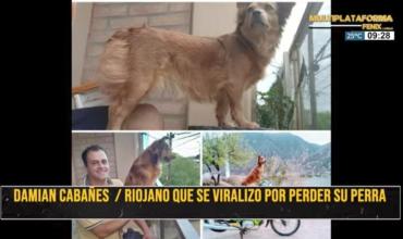 Riojano busca intensamente a su perrita 