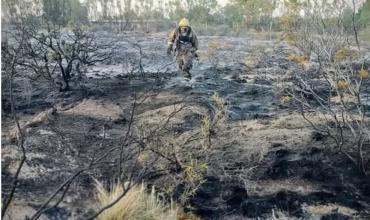 En Chubut: un loro, el insólito origen de un incendio en una reserva