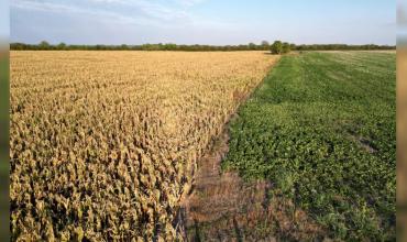 Referentes del campo argentino destacaron la baja de las retenciones por parte del Gobierno