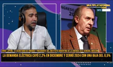 Jorge Lapeña, ex secretario de energía: “El 2024 fue altamente recesivo”