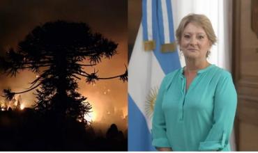 Mientras la Patagonia arde, la Subsecretaría de Ambiente gasta en aires acondicionados y desratización