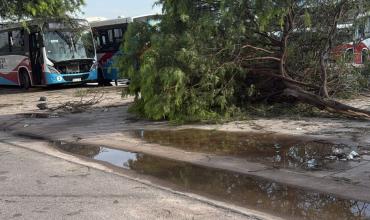 Algunos recorridos de Rioja Bus fueron afectados por las consecuencias de la tormenta