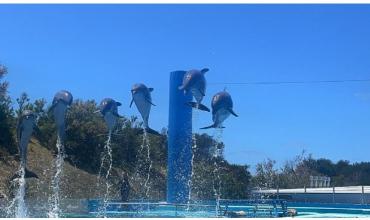 Las razones detrás del cierre del Aquarium de Mar del Plata tras 32 años