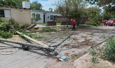 Edelar comunica los avances en las tareas para normalizar la situación del servicio eléctrico en algunos departamentos de La Rioja