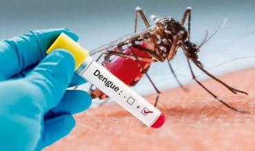 El COE confirma el octavo caso de dengue en Capital