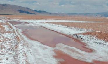 Crece la minería en Salta: gigante canadiense compra para expandir su proyecto de litio y enciende el interés del Gobierno