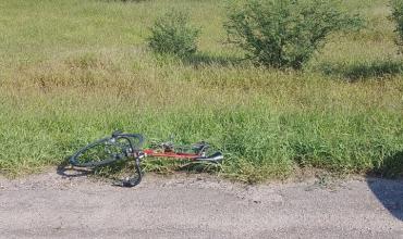 Ciclista de 65 años sufrió politraumatismos tras chocar contra un caballo en Ruta 5