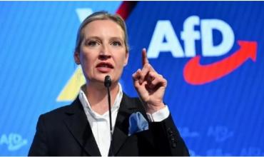 "Incompatible con la democracia": por qué la inteligencia de Alemania clasificó como grupo extremista a AfD, el segundo partido más votado del país