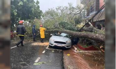 Temporal en Misiones: dos personas heridas y graves destrozos en varias localidades