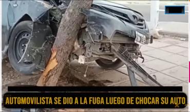 Accidente en la rotonda de la llama Votiva: un automóvil colisionó contra un árbol y su conductor se dio a la fuga