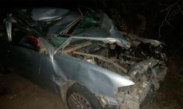 Catamarca: Un animal suelto provocó la muerte de un automovilista