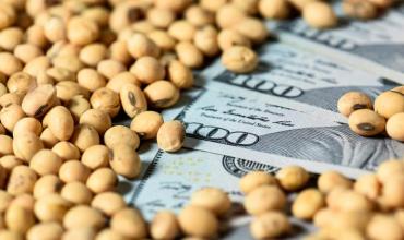 Con baja de retenciones, el agro ya liquidó más de USD 11.700 millones en lo que va del año