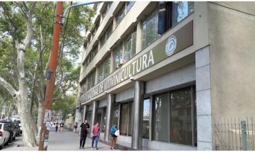 El INV fijó el grado alcohólico mínimo para los vinos de La Rioja cosecha 2025