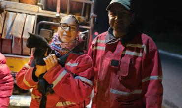 Rescataron a un gato que había quedado atrapado en un pilar telefónico en el barrio Cochangasta
